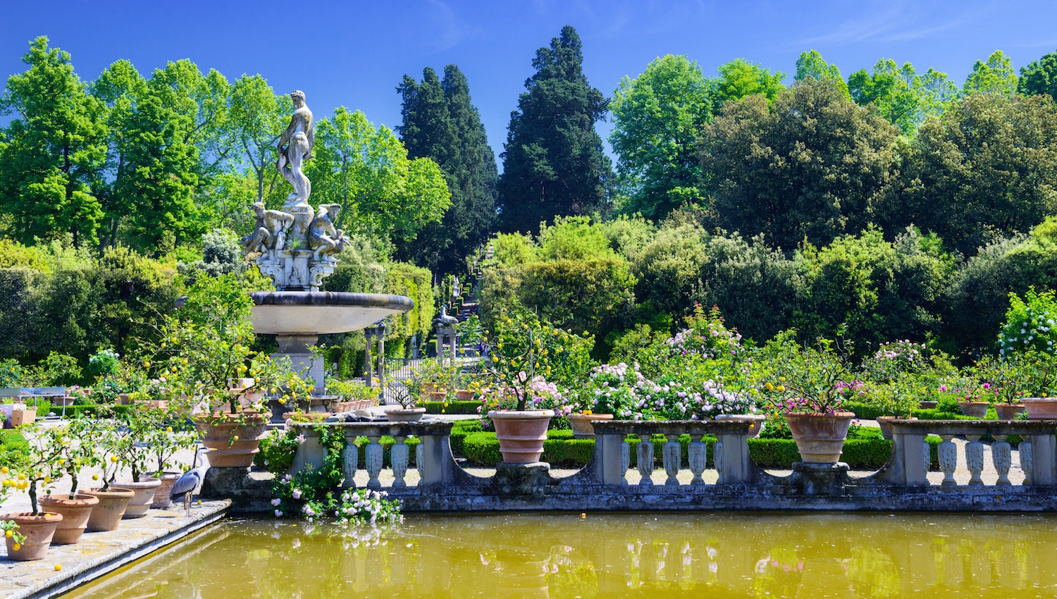 palazzo_pitti-florence-1500x850.jpg